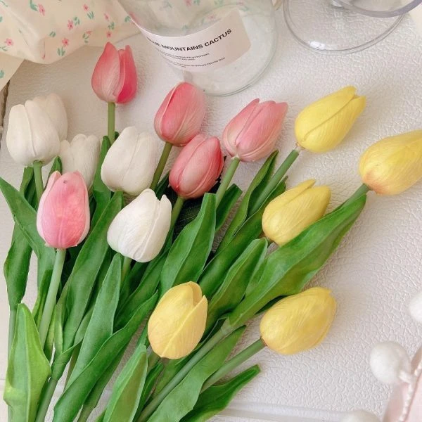 Hoa tulip, mặc dù mang vẻ đẹp tinh tế, nhưng thực tế lại chứa chất độc kiềm.