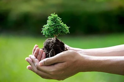 Thế giới hoa luôn tự tin về chất lượng sản phẩm.