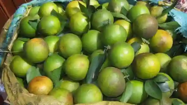 Đặc điểm của cam khe mây