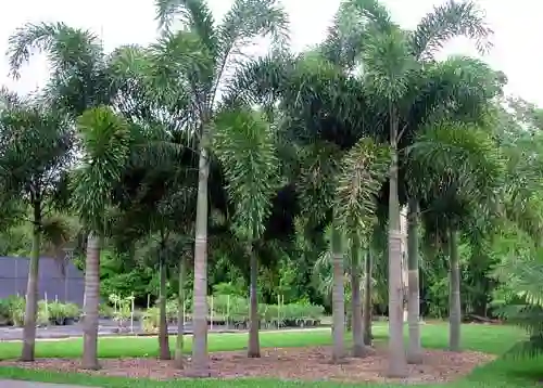 Dễ dàng bố trí và kết hợp với các cảnh quan khác.