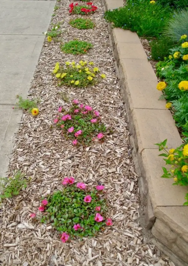 Nên sử dụng đất có khả năng thoát nước tốt.