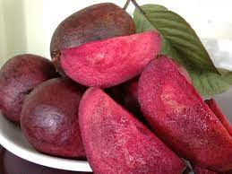 Ổi tím thuộc dòng cây ăn quả rất giàu chất dinh dưỡng.