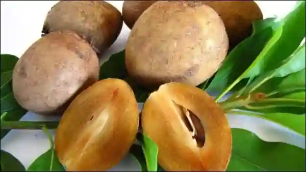 Qủa cây ăn rất ngon và nhiều chất dinh dưỡng.