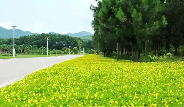 Tạo nên không gian hài hòa, mát mẻ