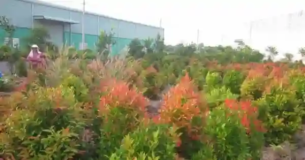 Thế giới hoa luôn tự tin về chất lượng sản phẩm.