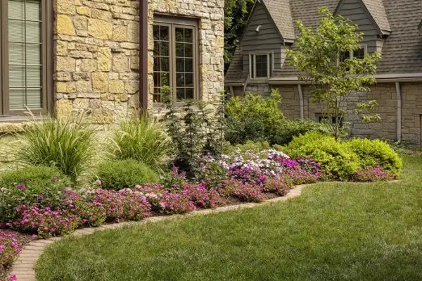 Tưới nước để duy trì độ ẩm cho cây.